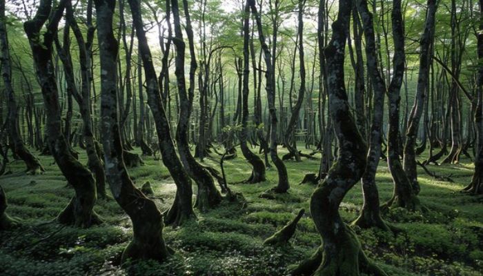 Unexplored Places on Earth That Give Chills